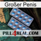 Großer Penis viagra4